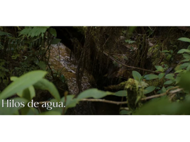 Terrain à vendre à Retiro, Antioquia, Retiro