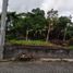 Terrain à vendre à Seyegan, Yogyakarta, Seyegan