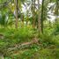  Land for sale in Surigao del Norte, Caraga, General Luna, Surigao del Norte