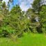  Land for sale in Chile, Puerto Octay, Osorno, Los Lagos, Chile