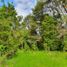  Land for sale in Chile, Puerto Octay, Osorno, Los Lagos, Chile