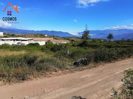  Land for sale in Imbabura, San Antonio, Ibarra, Imbabura