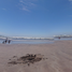  Land for sale in Tecuala, Nayarit, Tecuala