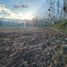  Terreno (Parcela) en venta en Cachapoal, Libertador General Bernardo O'Higgins, Coltauco, Cachapoal