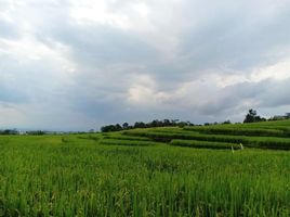  Tanah for sale in Kerjo, Karanganyar, Kerjo