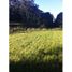  Terreno (Parcela) en venta en Llanquihue, Los Lagos, Puerto Varas, Llanquihue
