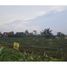  Land for sale in 23 Paskal Shopping Center, Andir, Sumurbandung