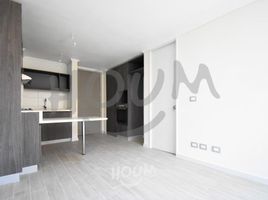 1 Habitación Departamento en alquiler en Pirque, Cordillera, Pirque