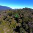  Land for sale in Chile, Hualaihue, Palena, Los Lagos, Chile