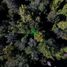  Land for sale in Chile, Hualaihue, Palena, Los Lagos, Chile