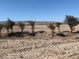  Terreno (Parcela) en venta en Chile, Caldera, Copiapó, Atacama, Chile