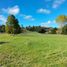  Casa en venta en Valdivia, Los Ríos, Paillaco, Valdivia