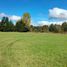  Casa en venta en Valdivia, Los Ríos, Paillaco, Valdivia