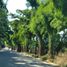  Land for sale in Kopo, Banten, Kopo