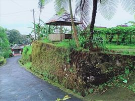  Tanah for sale in Ngargoyoso, Karanganyar, Ngargoyoso