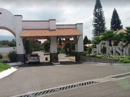  Grundstück zu verkaufen in Atlixco, Puebla, Atlixco