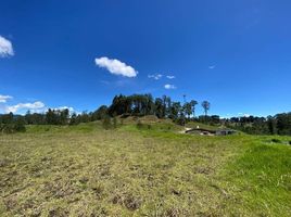  Terreno (Parcela) en venta en La Ceja, Antioquia, La Ceja