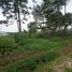  Grundstück zu verkaufen in Sumurbandung, West Jawa, Sumurbandung, Bandung, West Jawa