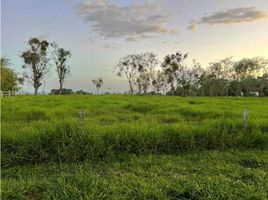 2 Habitación Villa en venta en Bugaba, Chiriquí, El Bongo, Bugaba