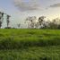 2 Bedroom Villa for sale in El Bongo, Chiriqui, El Bongo