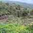  Land for sale in Girardota, Antioquia, Girardota