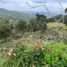  Land for sale in Girardota, Antioquia, Girardota