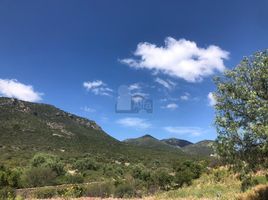  Terreno (Parcela) en venta en Ezequiel Montes, Querétaro, Ezequiel Montes