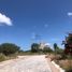  Terreno (Parcela) en venta en Ezequiel Montes, Querétaro, Ezequiel Montes