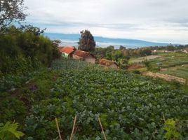  Grundstück zu verkaufen in Padalarang, West Jawa, Padalarang