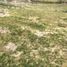  Land for sale in Ricaurte, Azuay, Ricaurte, Cuenca