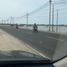  Land for sale in Manyar, East Jawa, Manyar