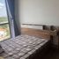 3 Schlafzimmer Appartement zu vermieten im The Nassim, Thao Dien