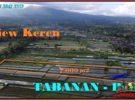  Land for sale in Penebel, Tabanan, Penebel