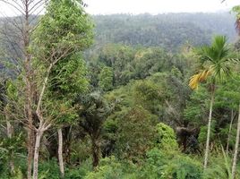  Tanah for sale in Payangan, Gianyar, Payangan