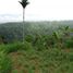  Terrain for sale in Payangan, Gianyar, Payangan