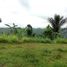  Terrain for sale in Payangan, Gianyar, Payangan