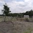  Land for sale in Carmen, Campeche, Carmen