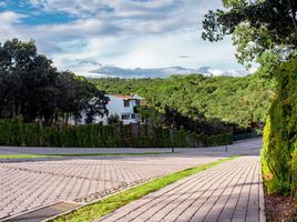  Terreno (Parcela) en venta en Puebla, Puebla, Puebla, Puebla