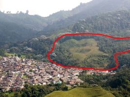  Land for sale in Manizales, Caldas, Manizales