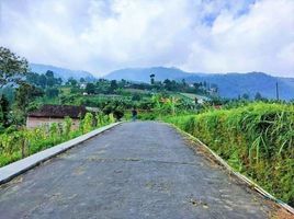  Tanah for sale in Ngargoyoso, Karanganyar, Ngargoyoso