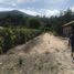 3 Bedroom House for sale in La Banda De Shilcayo, San Martin, La Banda De Shilcayo, San Martin, San Martin