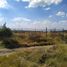  Land for rent in Tonala, Jalisco, Tonala