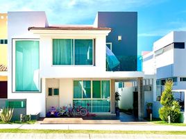 3 Schlafzimmer Wohnung zu verkaufen in Zapopan, Jalisco, Zapopan, Jalisco