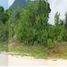  Land for sale in Palawan, Mimaropa, San Vicente, Palawan