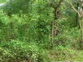  Land for sale in Palawan, Mimaropa, San Vicente, Palawan