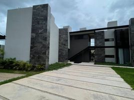 2 Habitación Casa en alquiler en Conkal, Yucatán, Conkal, Yucatán
