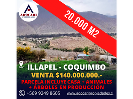4 Bedroom Villa for sale in Chile, Illapel, Choapa, Coquimbo, Chile