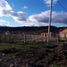  Grundstück zu verkaufen in Cushamen, Chubut, Cushamen