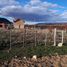  Grundstück zu verkaufen in Cushamen, Chubut, Cushamen