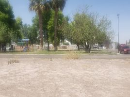  Grundstück zu verkaufen in Torreon, Coahuila, Torreon